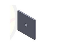 Lock plate 